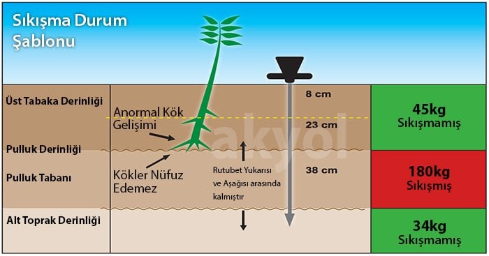 toprak şablon