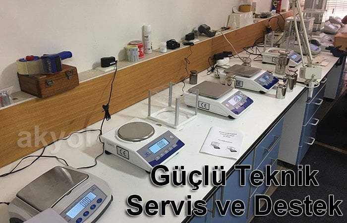 guclu_servis