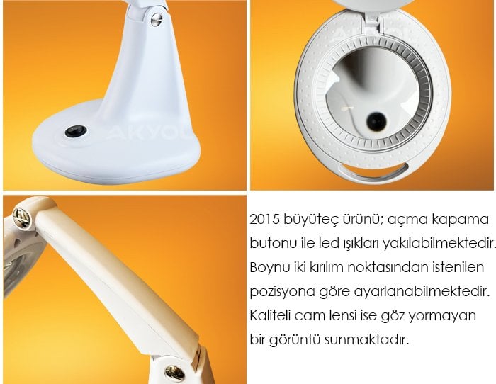 Loyka 2015