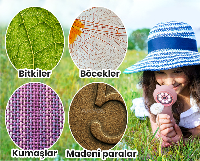 Eğitici dijital mikroskop