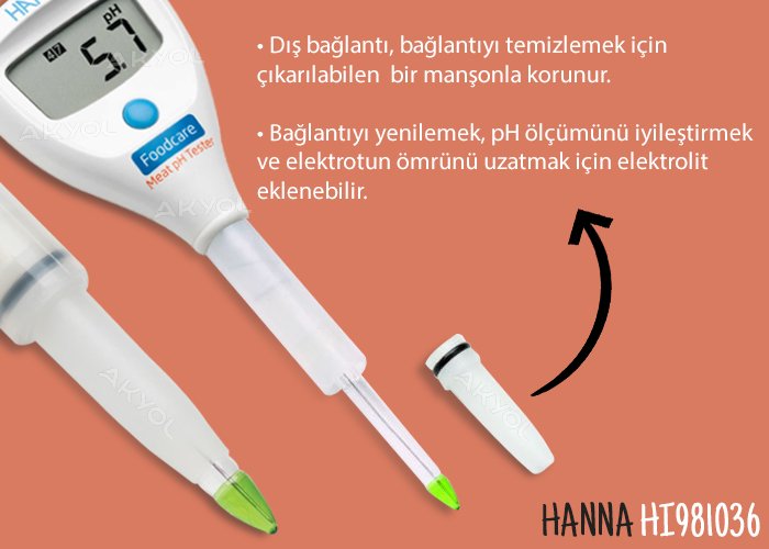 Hanna hı981036