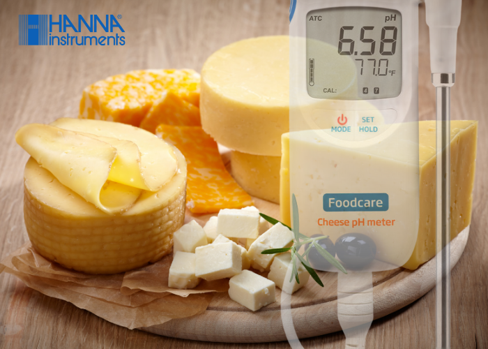 Hanna 99165