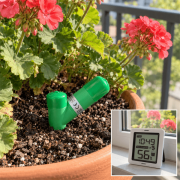 Ecowitt WH0291 Kablosuz Toprak Nem Ölçüm Cihazı | Ekranlı
